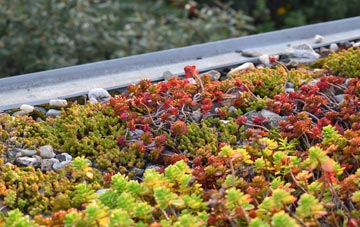 the cost of Aifft green roof installation