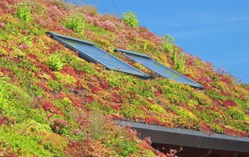 Aifft living roof systems