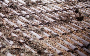 Aifft roof cleaning companies