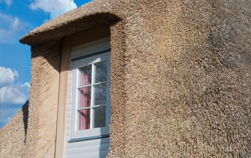 Aifft thatch roof disadvantages