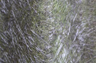 Aifft fibreglass roof work